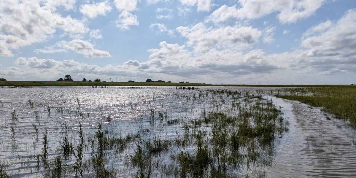 A look out at the walk way of a flooded Langwarder Groden during high tide.